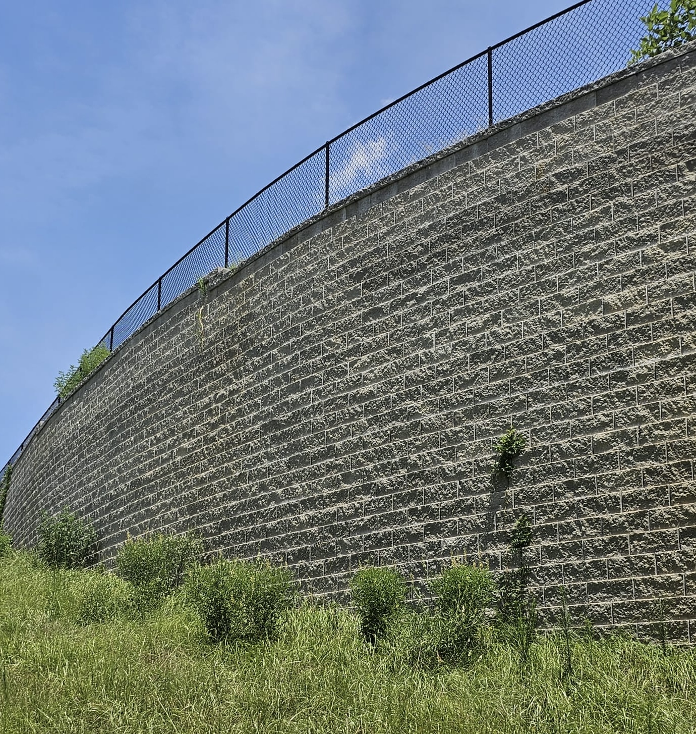 Gallery Project 25